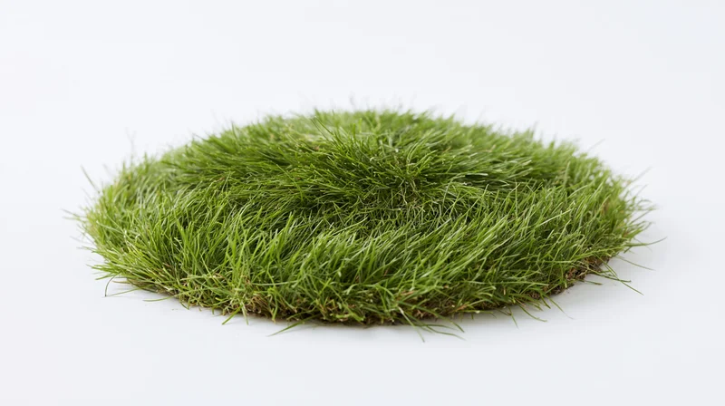 Oval grass mound isolated on white background