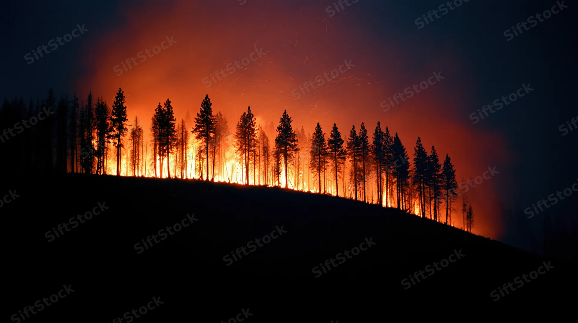 Wildfire burning through pine forest at night, silhouetting trees against flames on a hillside