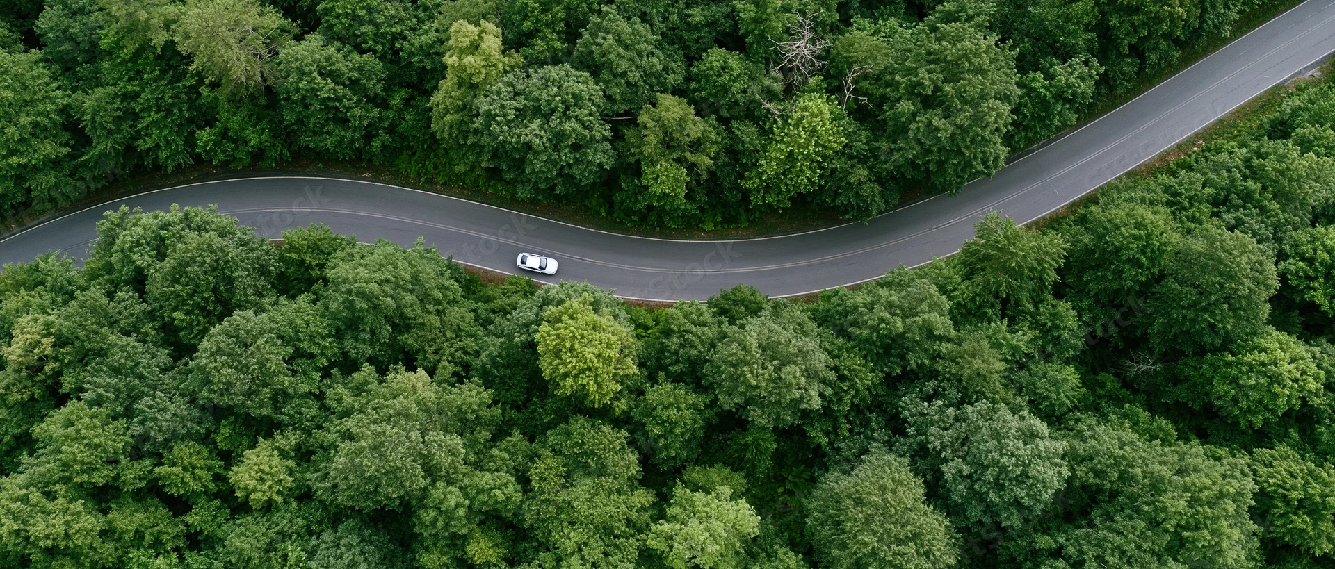 Aerial view of a winding road through dense green forest with a white car driving along it