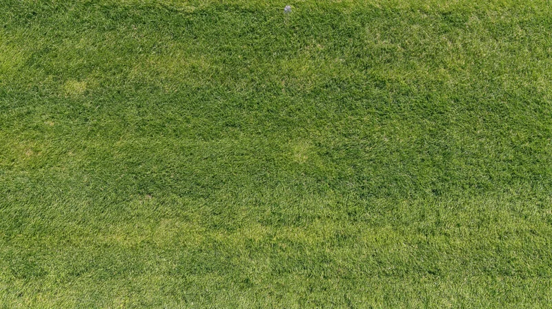 Aerial top-down view of a flat green grassy lawn