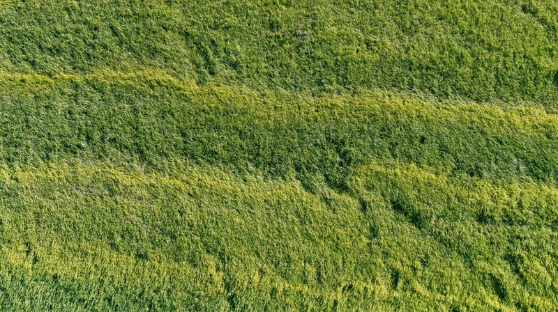 Aerial top-down view of a closely mowed grass field filling the frame with striped patterns from mowing