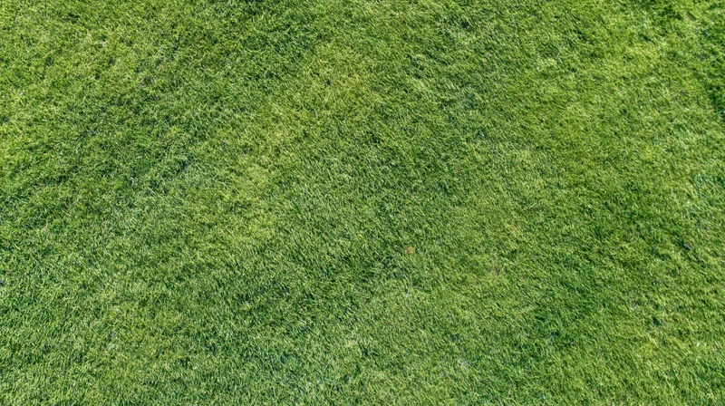 Aerial top-down view of a closely mowed green grass field filling the frame