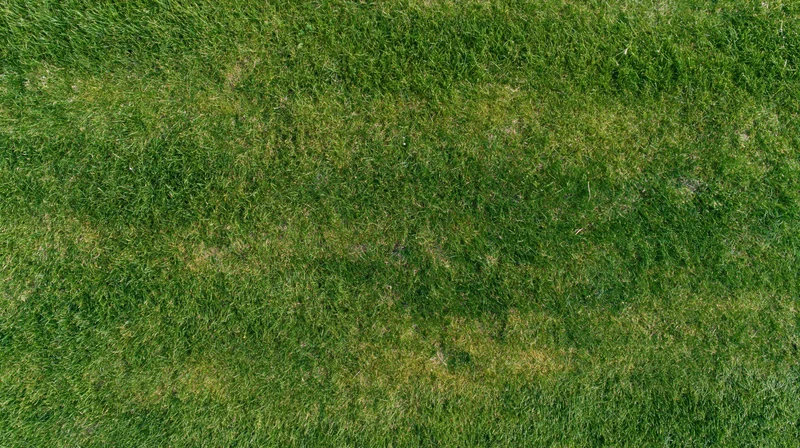 Aerial top-down view of a flat mowed grass field filling the frame