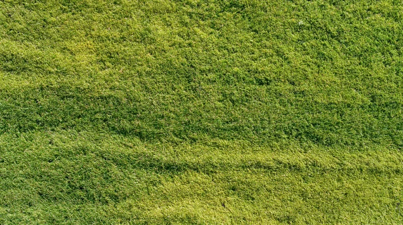 Aerial top-down view of a flat mowed grass lawn filling the frame