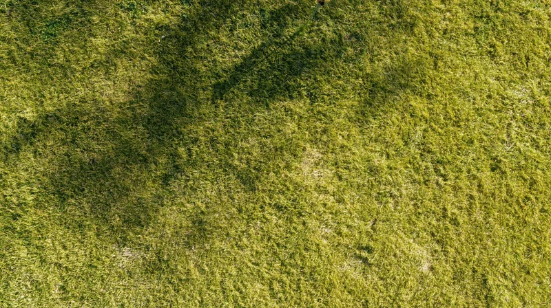 Aerial top-down view of a flat mowed grass lawn filling the frame