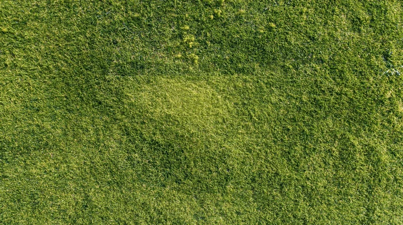 Aerial top-down view of a freshly mowed golf course green with visible grass texture and sunlight patterns