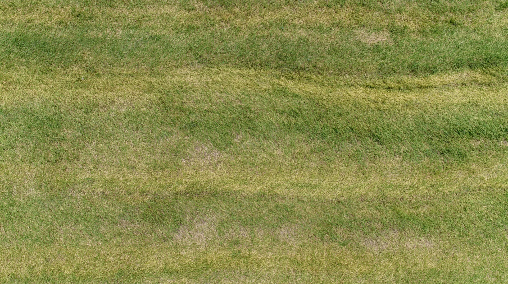 Aerial top-down view of a freshly mowed grass field filling the frame