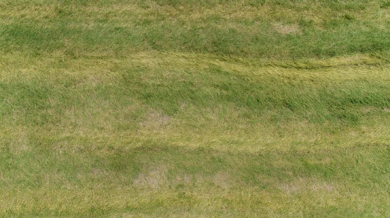 Aerial top-down view of a freshly mowed grass field filling the frame