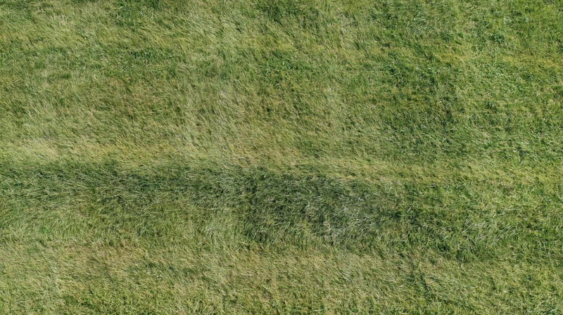 Aerial top-down view of a freshly mowed grass field filling the frame
