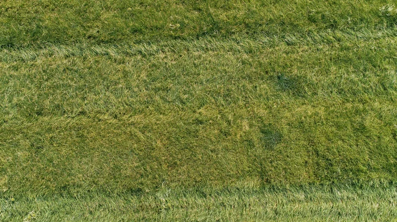 Aerial top-down view of a freshly mowed grass field filling the frame
