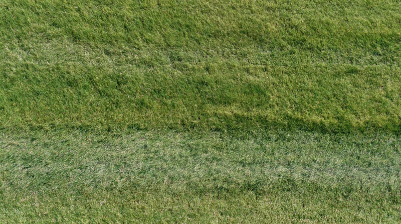Aerial top-down view of a freshly mowed grass field filling the frame
