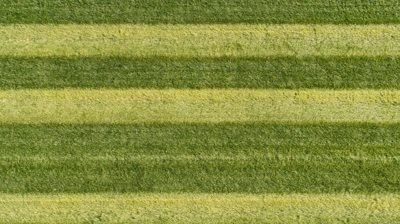 Aerial top-down view of a freshly mowed grass sports field with striped pattern