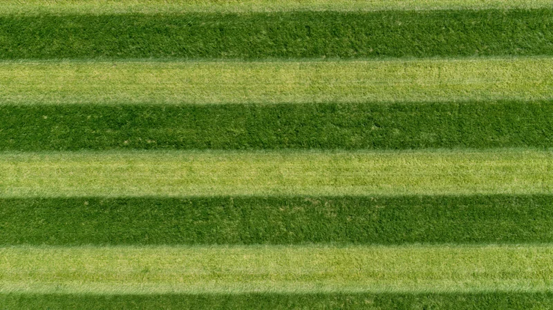 Aerial top-down view of a freshly mowed striped grass sports field