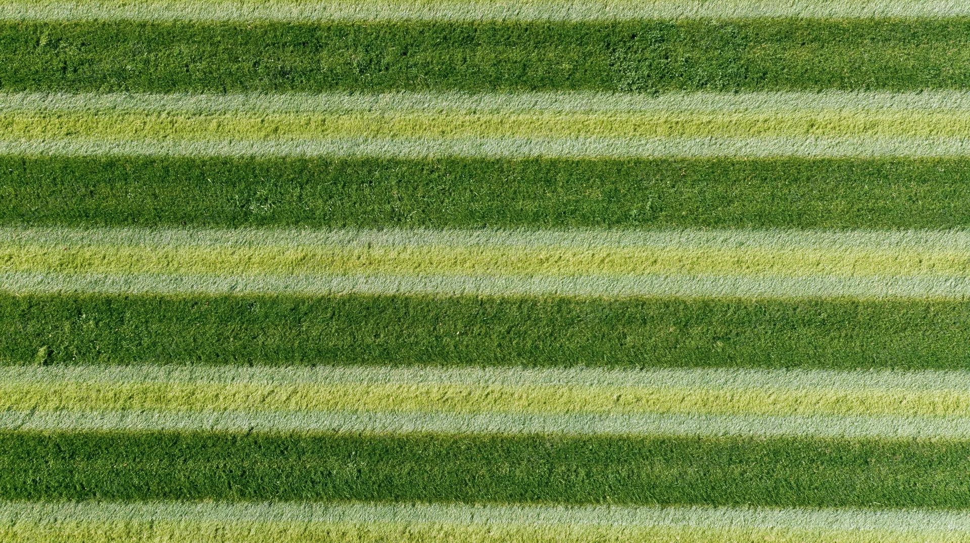 Aerial top-down view of a freshly mowed grass sports field with striped pattern