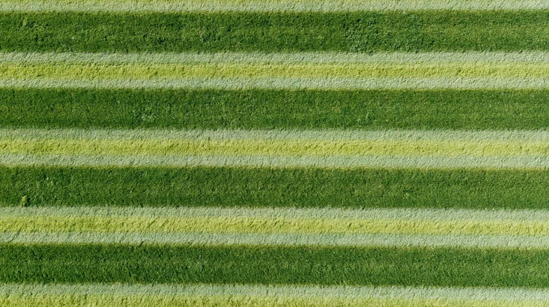 Aerial top-down view of a freshly mowed grass sports field with striped pattern