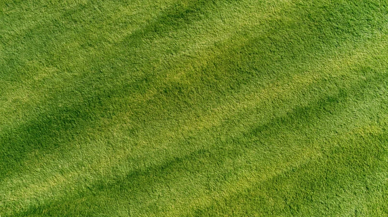 Aerial top-down view of a freshly mowed sports field with striped grass pattern