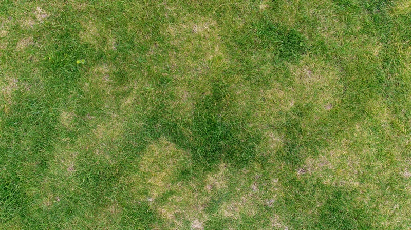 Aerial top-down view of a grass lawn with patchy green and brown areas