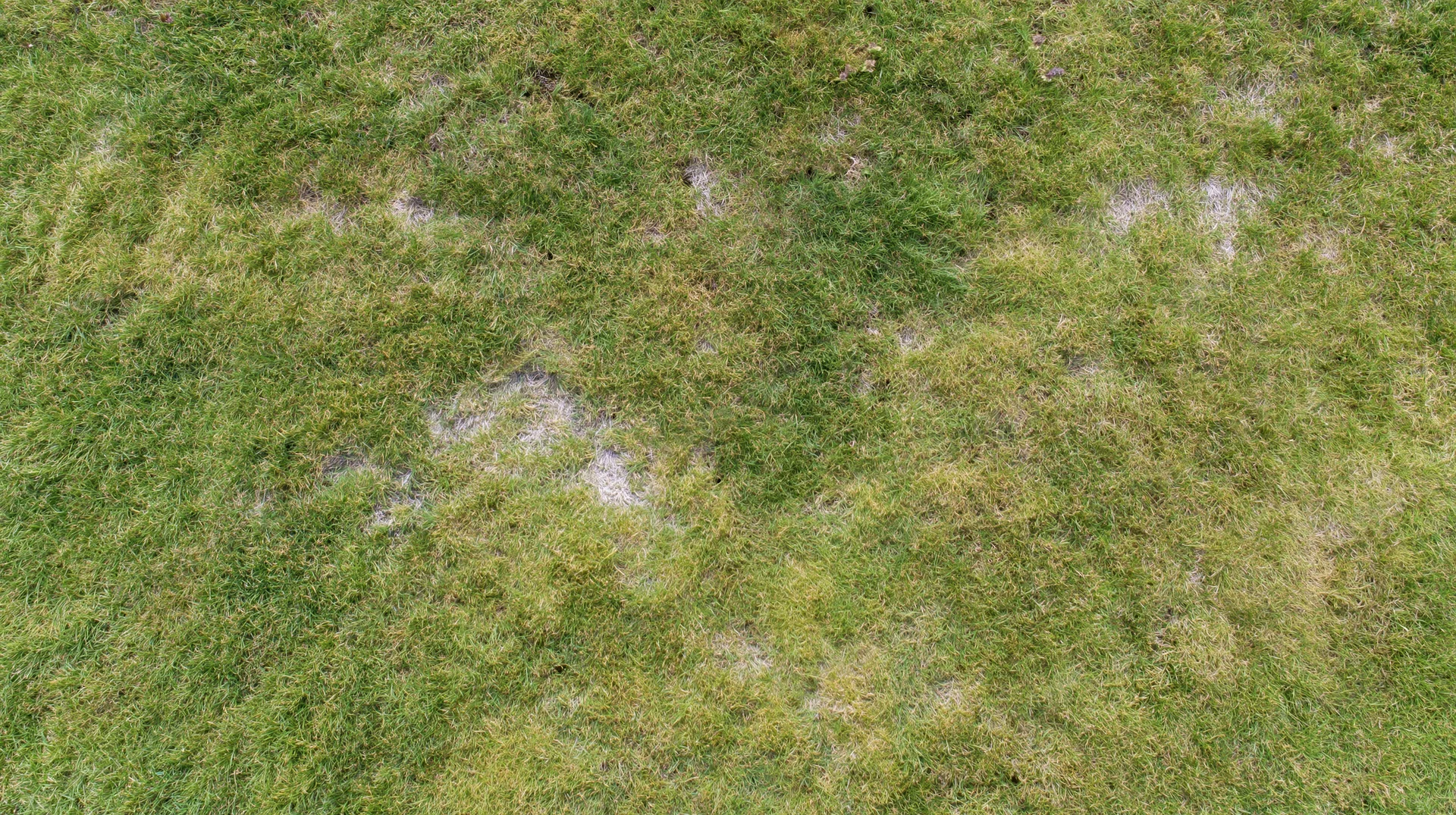 Aerial top-down view of a grass lawn with patches of bare soil and uneven growth