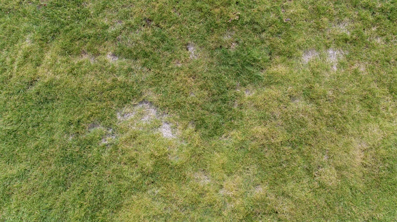 Aerial top-down view of a grass lawn with patches of bare soil and uneven growth