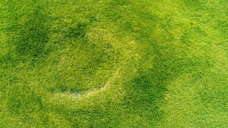 Aerial top-down view of a green grass lawn with a circular pattern and shadow, showing a well-maintained outdoor field