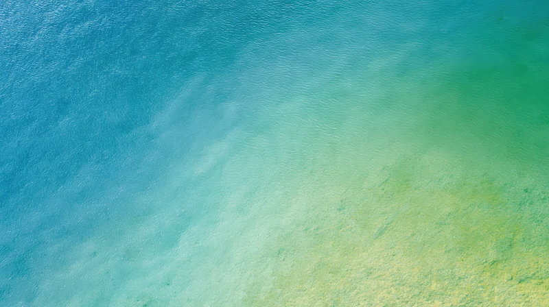 Aerial top-down view of shallow tropical water over sandy seabed