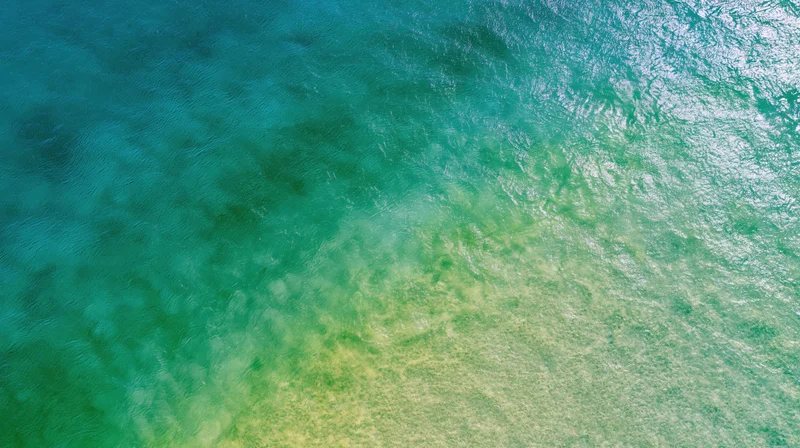 Aerial top-down view of shallow tropical water over sandy seabed