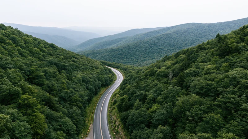 Aerial view of a winding two-lane asphalt highway curving through a dense green forested valley between mountains
