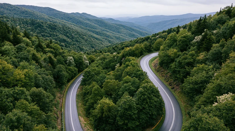Aerial view of a winding two-lane asphalt highway curving through a dense forested valley surrounded by mountains