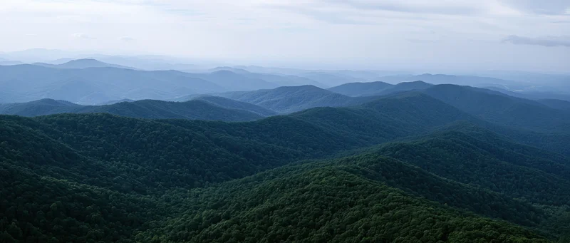 Aerial view of dense green forested mountains stretching into the distance under an overcast sky