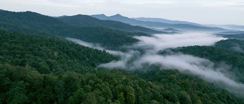 Aerial view of dense tropical rainforest canopy with mist drifting through mountain valleys