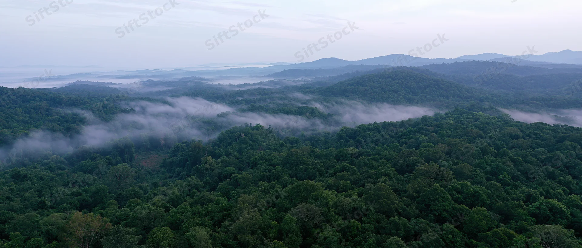 Aerial view of dense tropical rainforest canopy with mist drifting over treetops and distant hills