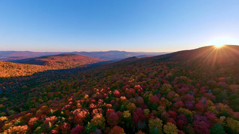 Aerial view of dense hardwood forest in autumn with colorful foliage and sunrise over mountains