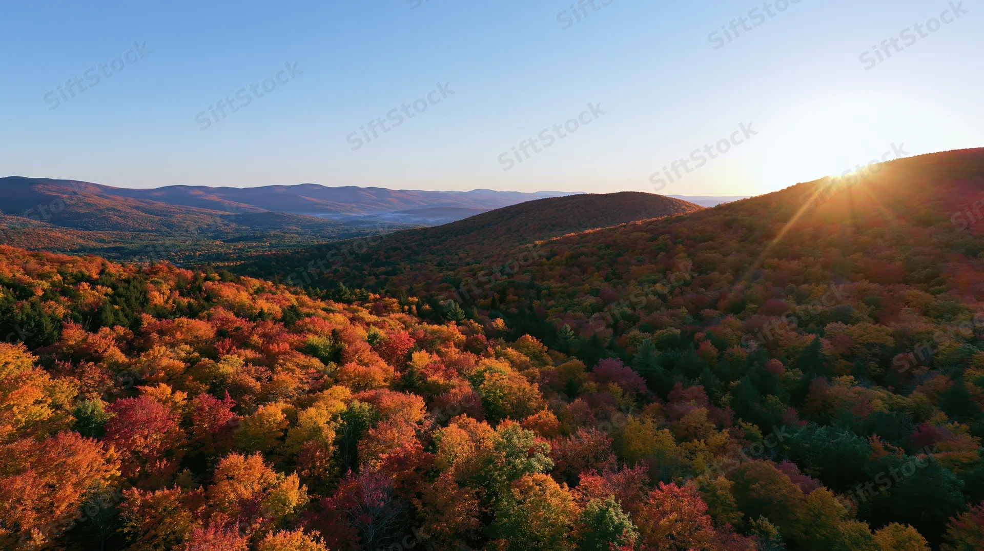Aerial view of dense hardwood forest in autumn with colorful foliage covering rolling hills under clear sky at sunset