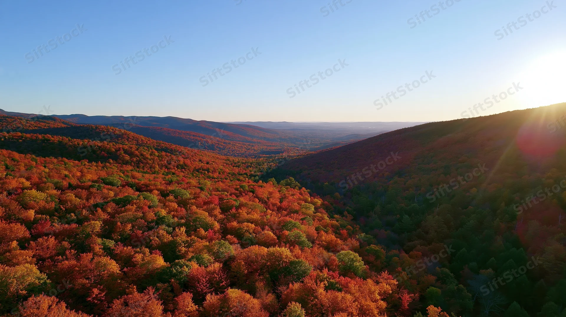 Aerial view of dense hardwood forest in autumn with colorful foliage covering rolling hills under clear blue sky