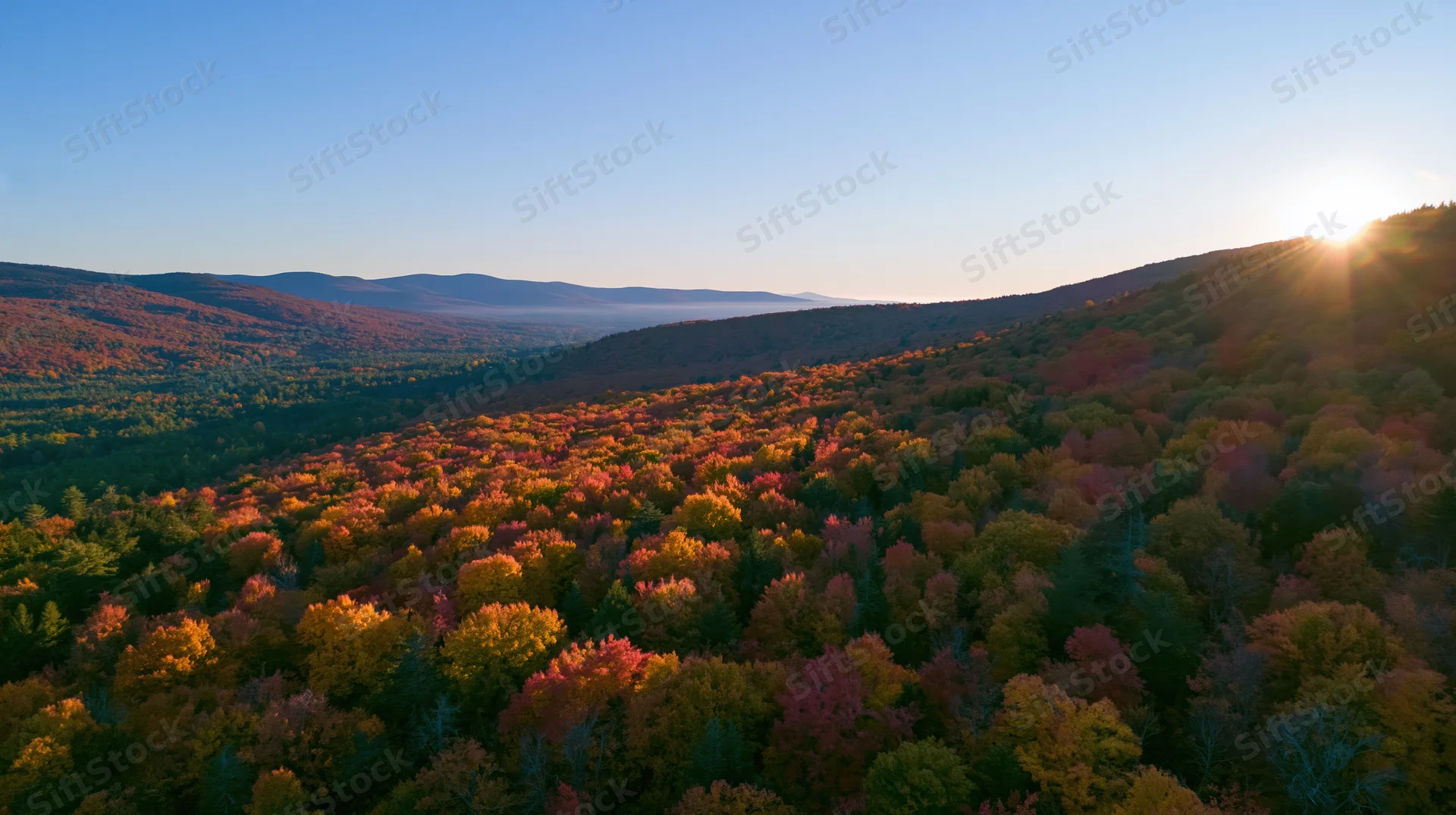 Aerial view of dense hardwood forest in autumn with colorful foliage and mountains under sunrise light