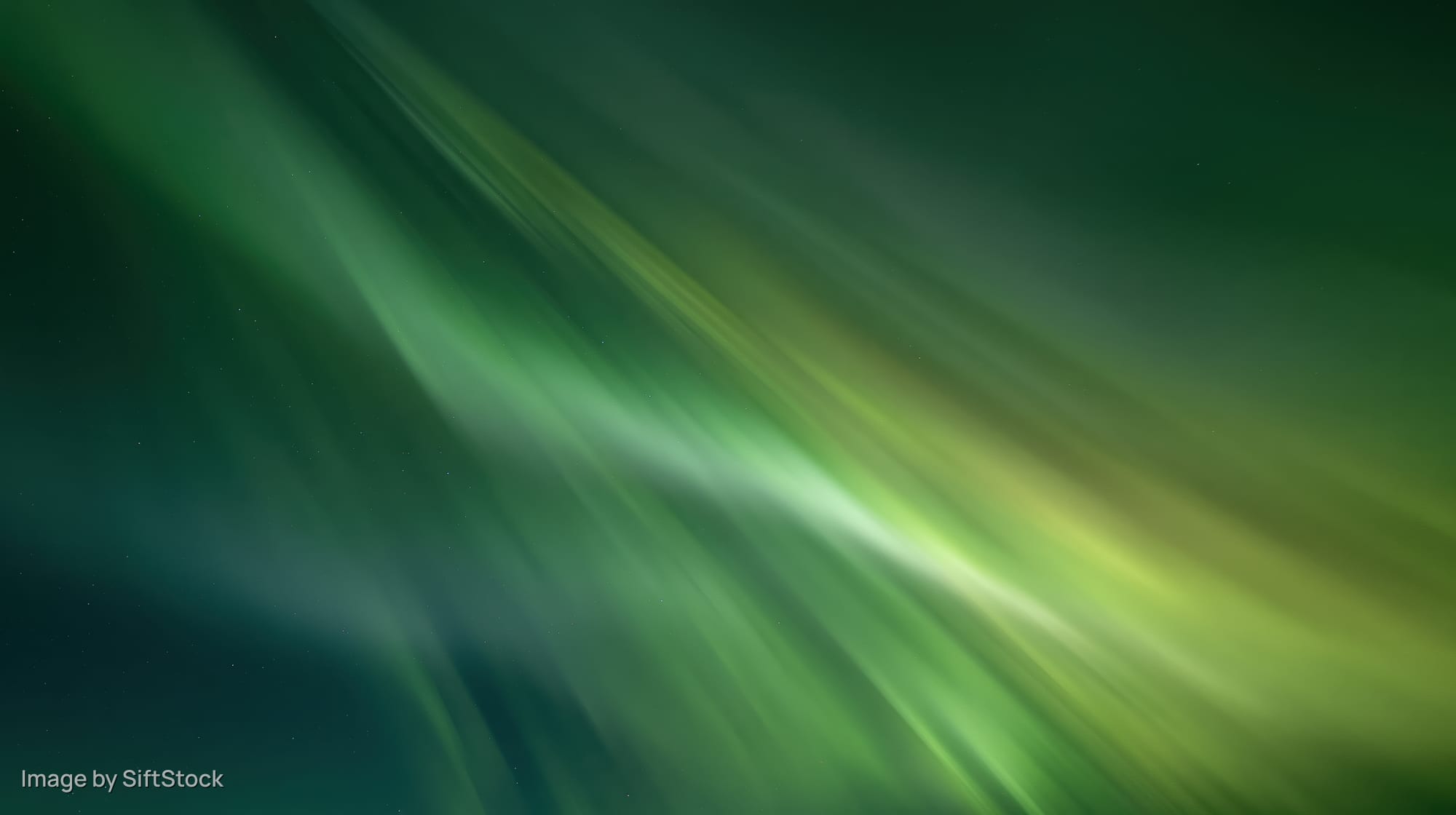 Aurora borealis glowing across dark sky over open tundra