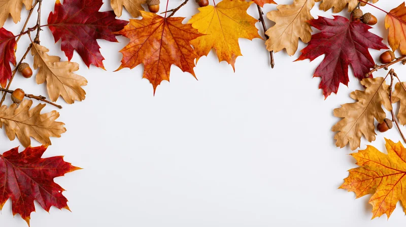 Autumn leaves and acorns arranged in a decorative border frame on white background with copyspace