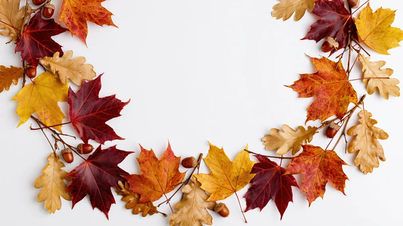 Autumn leaves and acorns arranged in a decorative border frame on white background