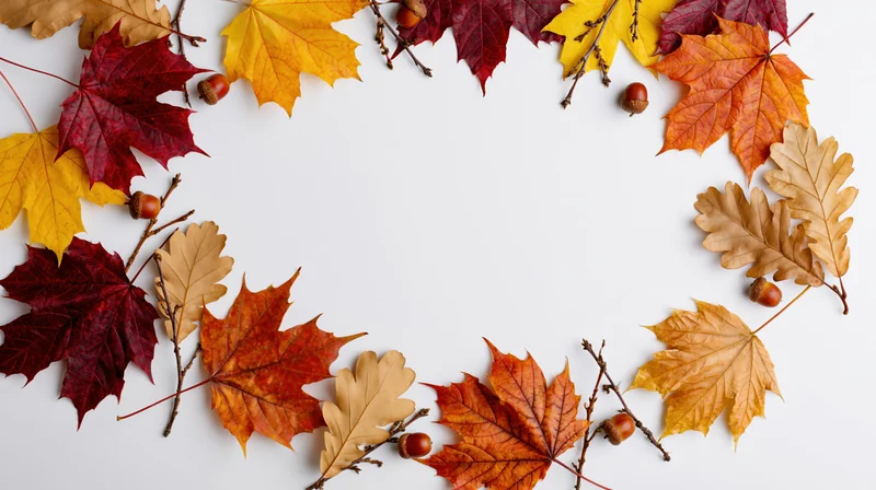 Autumn leaves and acorns arranged in a circular border on white background with copyspace
