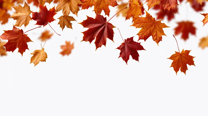 Autumn maple leaves falling across the top of a white background with copyspace below