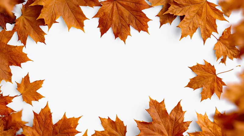 Autumn maple leaves arranged in a natural border frame around a white center