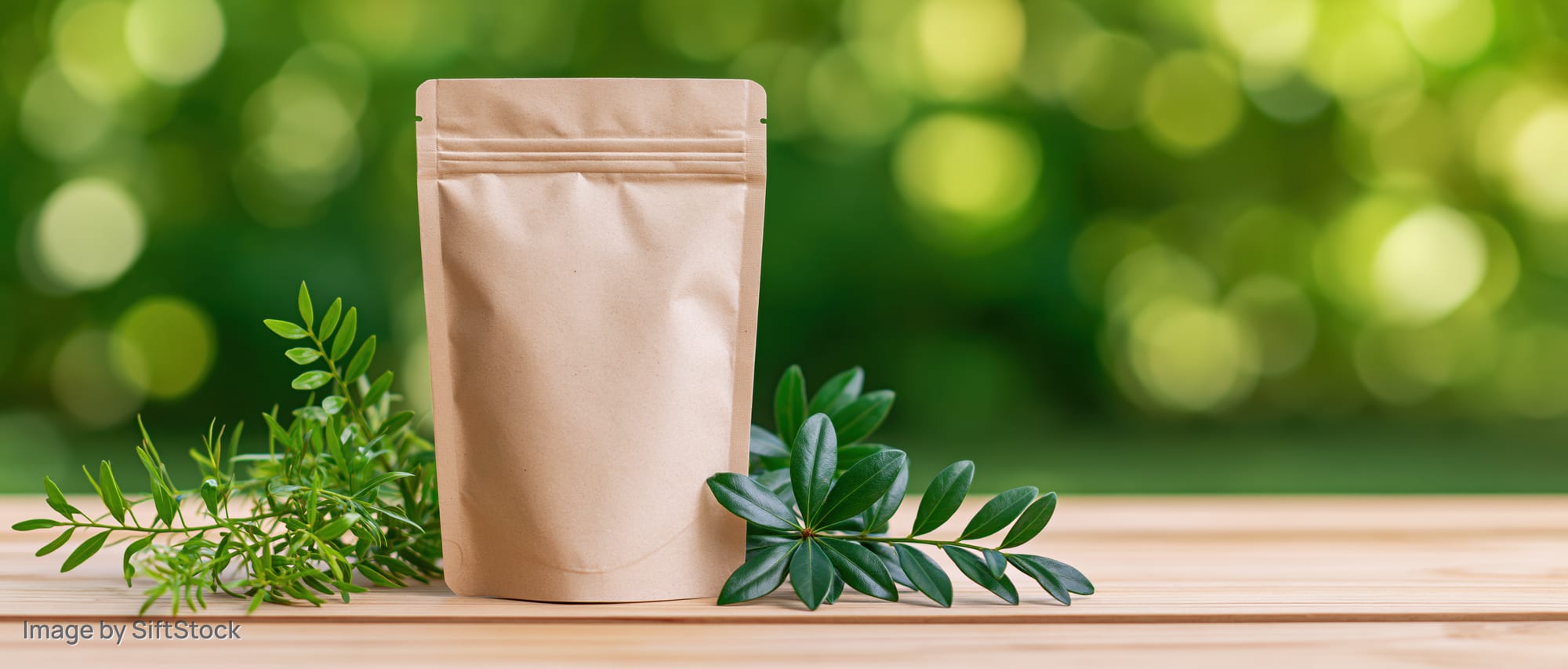 Blank kraft paper stand-up pouch on wooden table with green leaves and blurred natural background
