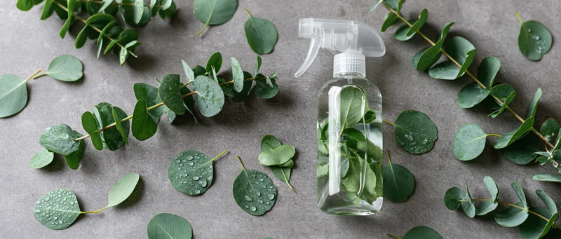 Clear plastic spray bottle filled with water and eucalyptus leaves on gray surface surrounded by scattered green foliage