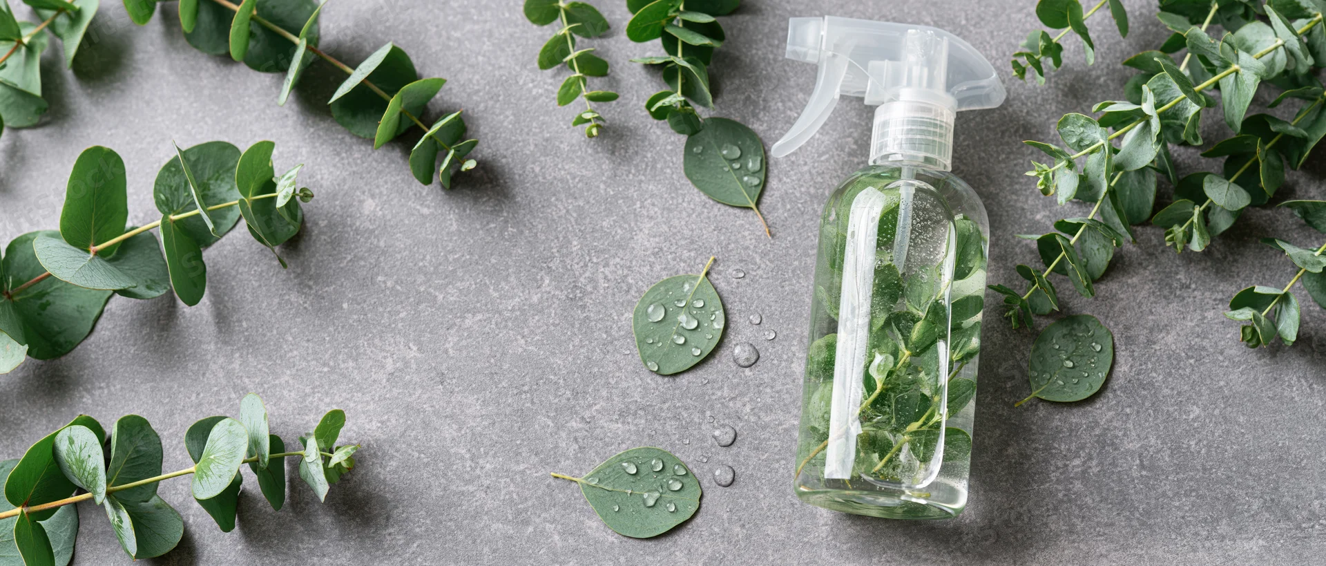 Clear plastic spray bottle filled with water and eucalyptus leaves on gray surface with scattered foliage