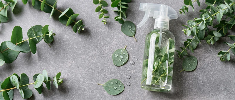 Clear plastic spray bottle filled with water and eucalyptus leaves on gray surface with scattered foliage