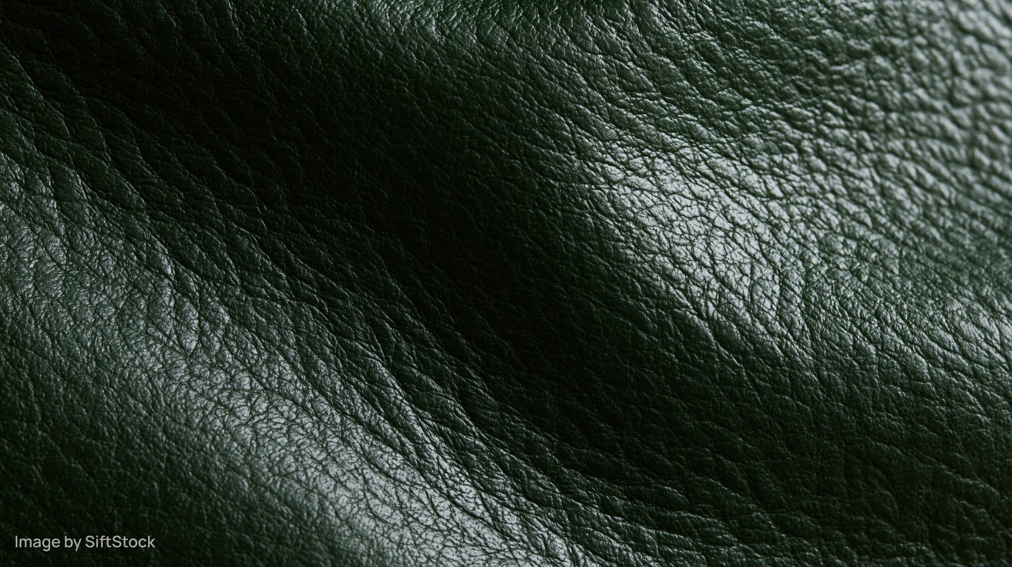 Close-up of dark forest green leather surface showing natural grain and texture