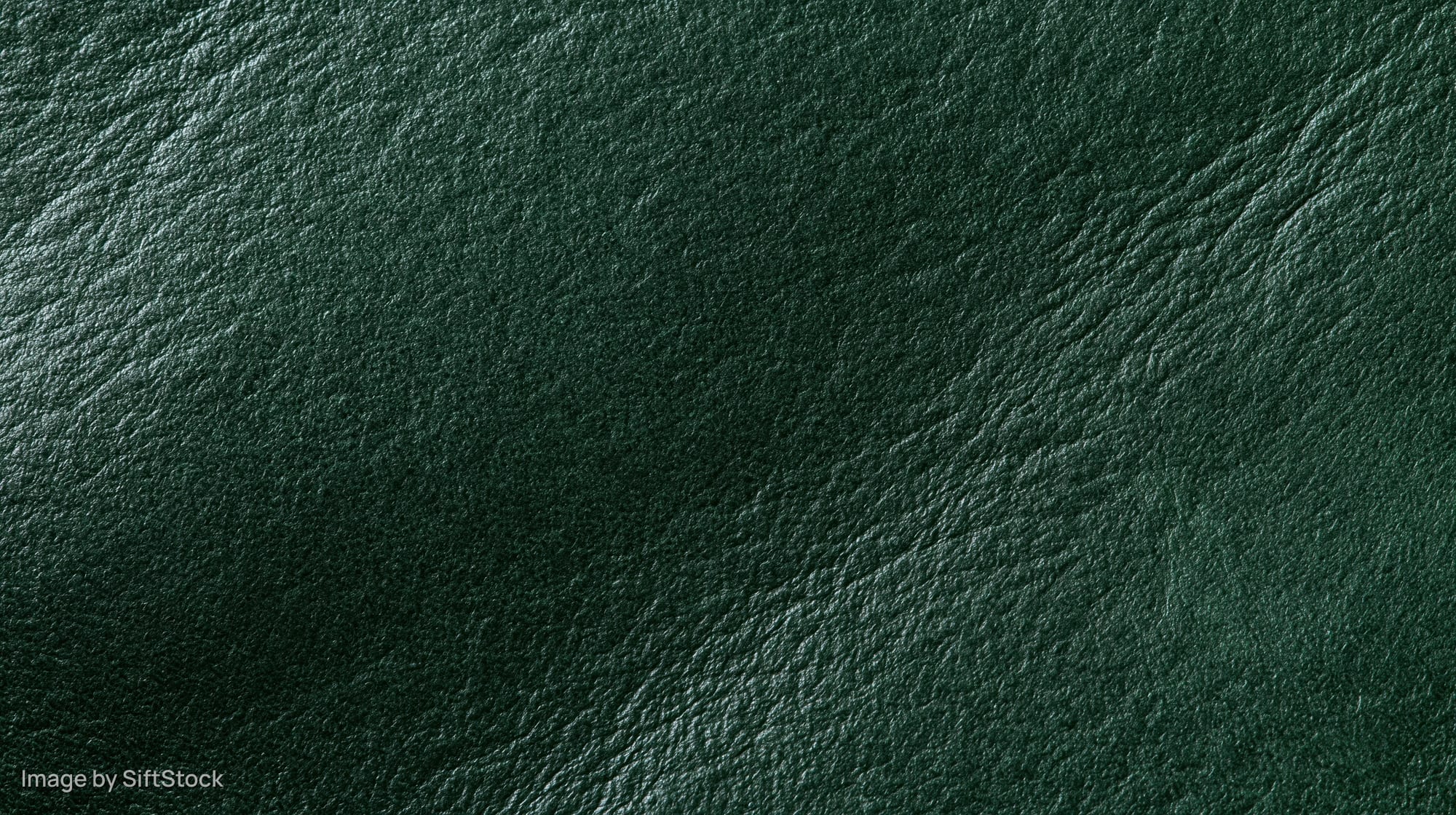 Close-up of dark forest green leather surface with visible grain and texture