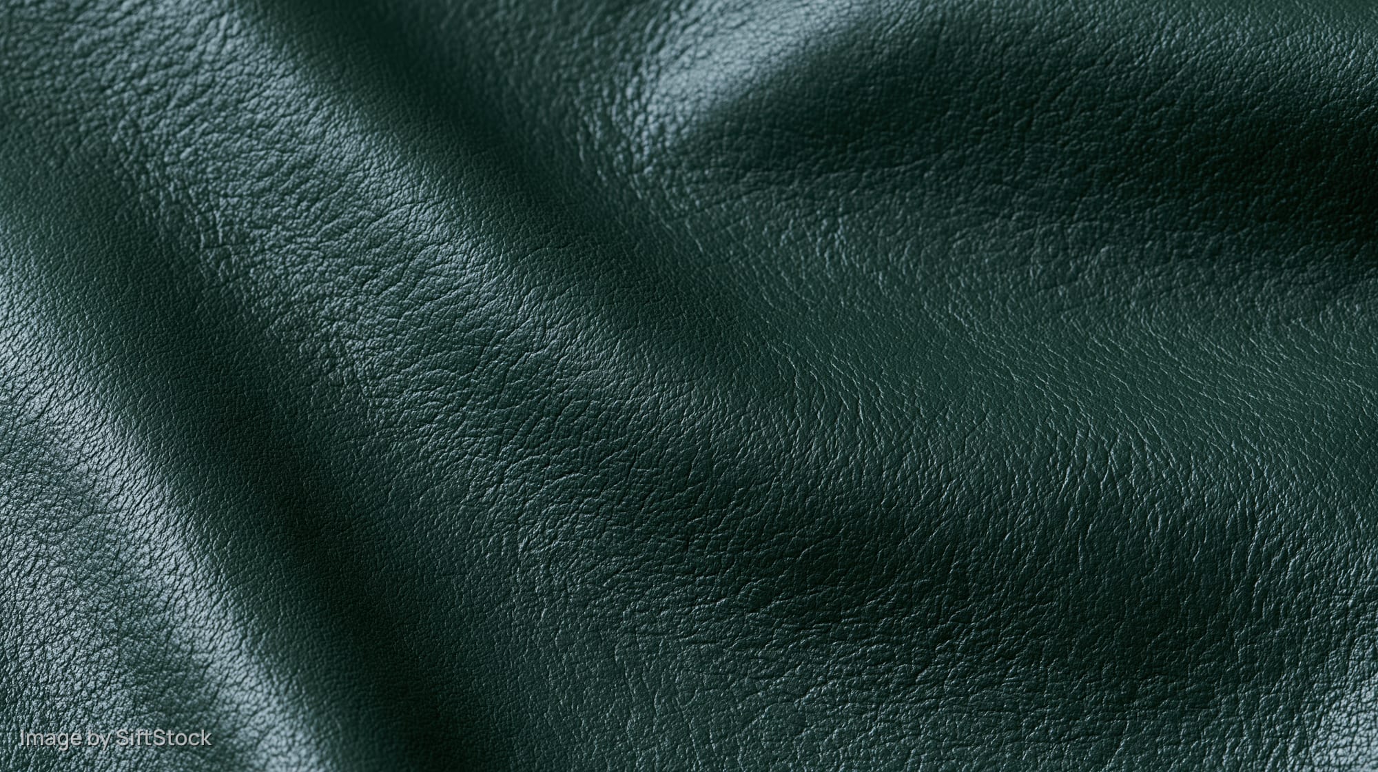 Close-up of dark forest green leather surface with visible grain and texture