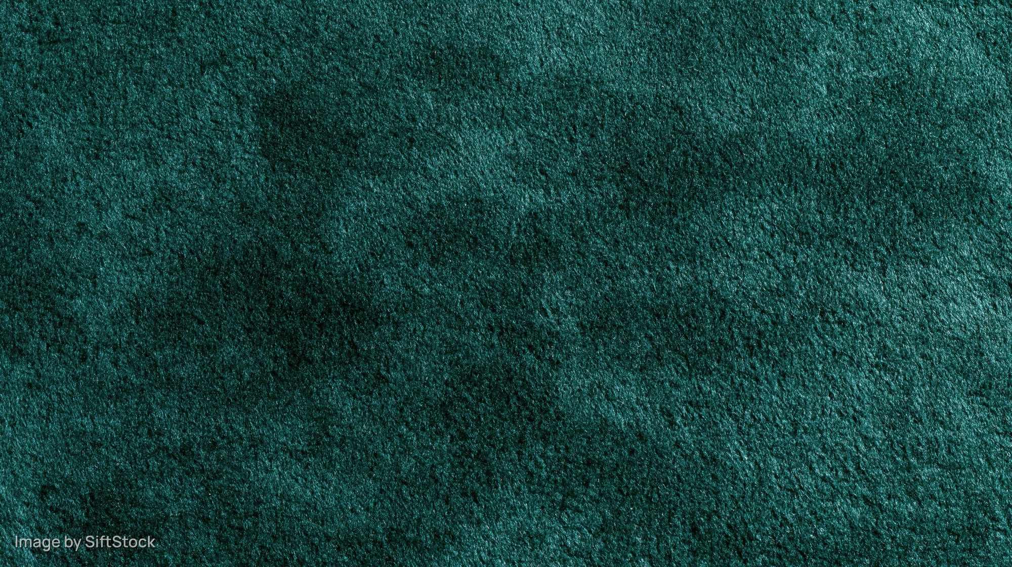 Close-up of dark forest green velvet or suede fabric surface