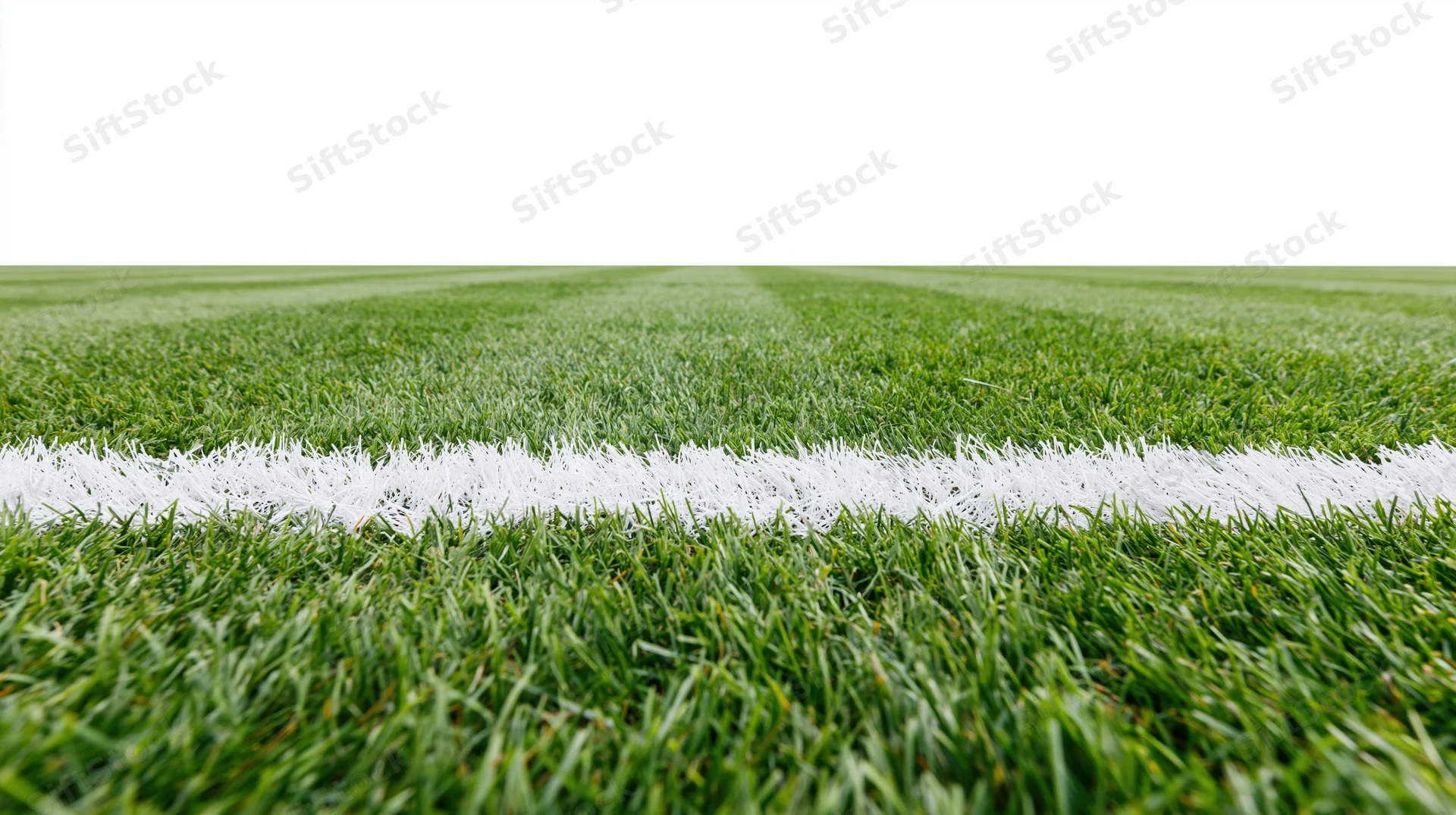 Close-up ground-level view of a football pitch with a white boundary line on green grass